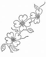 Dogwood Bordar Cross Floral Riscos Transfers Bordado Tecido Hand sketch template