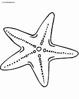 Starfish Star Fish Template Printable Colouring Pages Visit Coloring sketch template