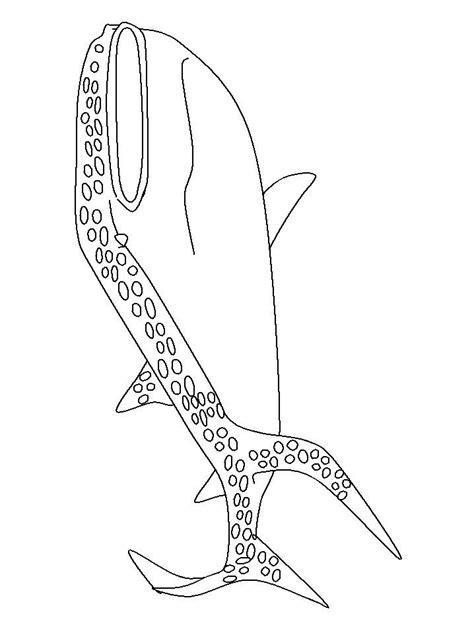 pin  aj groome  coloring animals coloring pages  print