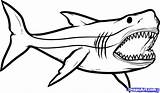 Megalodon Coloring Shark Pages Draw sketch template
