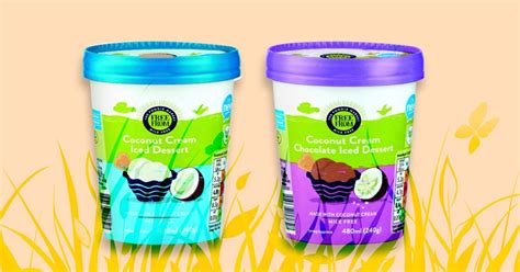 Aldi Launch Two New Vegan Dairy Free Ice Creams Both Coconut Cream
