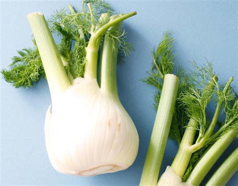 Fennel Benefits And Aphrodisiac Use Eat Something Sexy