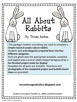 rabbit research report  tricia anton teachers pay teachers