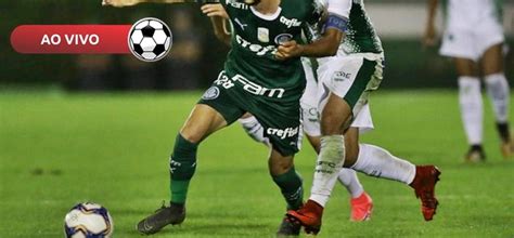 Palmeiras X Guaraní Par Ao Vivo Saiba Como Assistir Na Tv E Online