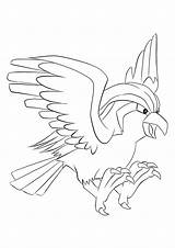 Pokemon Pidgeot Coloring Pages Generation Flying Type Kids Color sketch template