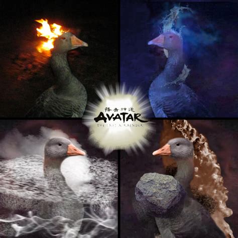 goose  fire avatar   air bender goose  fire fire duck   meme