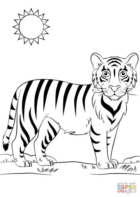 tiger drawing cartoon  getdrawings
