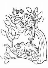 Dieren Schattige Kleurplaten Kleine Wilde Camaleonte Kameleon Kerst sketch template