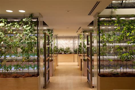 gallery   tokyo  vertical farm