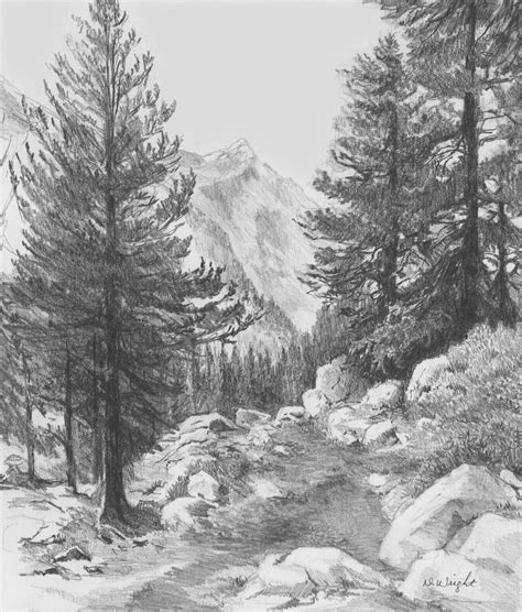 forest landscape drawing  paintingvalleycom explore collection  forest landscape drawing