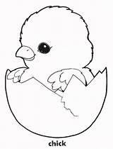 Coloring Chick Chicken Pages Printable Chickens Baby Cute Color Chicks Print Colouring Kids Book Easter Oocities Sheets Adorable Activity Hatching sketch template