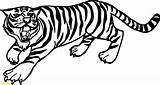 Tiger Coloring Pages Outline Easy Drawing Siberian Line Printable Tooth Saber Face Drawings Bengal Kids Print Angry Animal Tigers Color sketch template