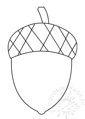 acorn coloring pages  print sketch coloring page