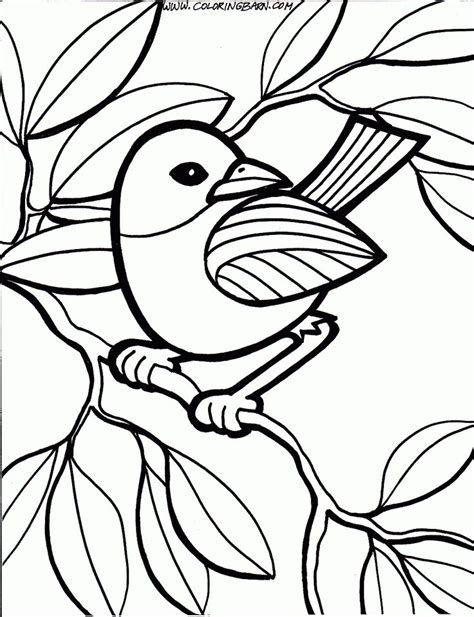 hard peacock coloring pages clipart panda  clipart images
