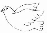 Pigeon Coloring Pages Animated Pigeons Coloringpages1001 Gifs sketch template