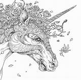 Unicorn Coloring Pages Adults Advanced Head sketch template