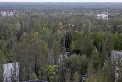 Fire Breaks Out In Chernobyl’s Exclusion Zone Forests The Independent