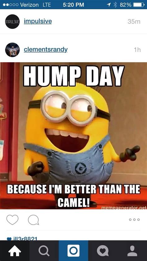 Hump Day😜😜😜😘💋 Funny Good Morning Memes Funny Good