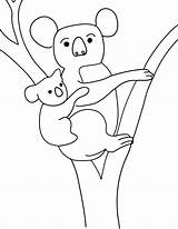 Koala Coloring Pages Kids Printable Coloringbay Animal sketch template