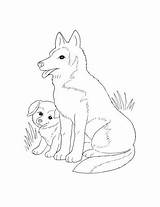 Coloring Pages Dog Animals Mother Wolf Puppy Fox Omalovanky Vlk Printable Animal Supercoloring Size Cute sketch template