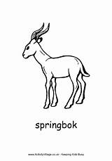 Springbok Colouring Pages Africa African Country South Coloring Animals Symbols Animal Crafts Kids Heritage Activityvillage Color Projects Outline Explore Theme sketch template