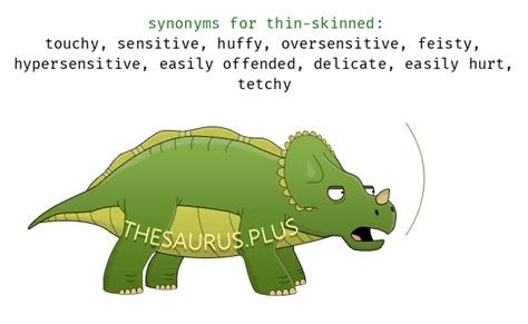 more 320 thin skinned synonyms similar words for thin skinned