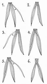 Braid Fishtail Hair Tutorial Hairstyles Drawing Fish Do Draw Step Stylendesigns Braided Girls Tail Style Short Super Braiding Any Tool sketch template