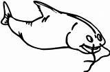 Catfish Coloring Pages Friendly Sketch Shark Look sketch template