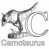 Carnotaurus sketch template