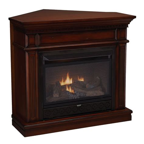 Corner Ventless Gas Fireplaces Ideas On Foter