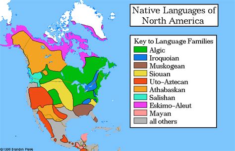 native language carolyntinschaefer