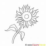 Sonnenblume Malvorlagen sketch template