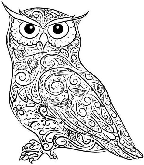 difficult owl coloring page  adults owl coloring pages bird