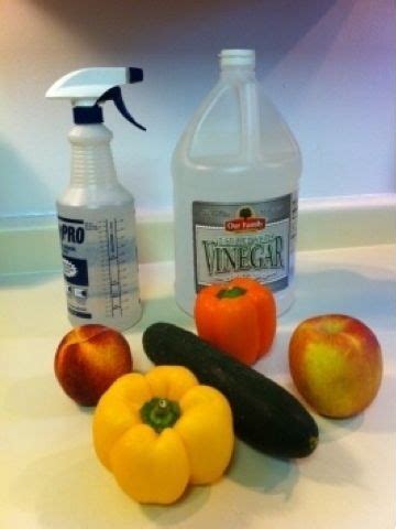 clean veggies   solution   part vinegar   parts water