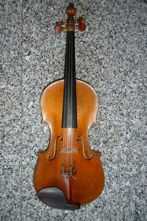 prokop geige violine