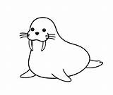 Walrus Coloring Pages Drawing Animal Seal Cartoon Antarctica Ocean Clipart Cute Animals Funny Kids Printable Colouring Mustache Arctic Clip Line sketch template