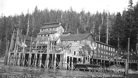 file dock and cannery buildings ward cove ca 1912 thwaites 318 jpeg wikimedia commons
