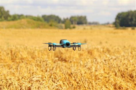 drone   field stock photo image  background