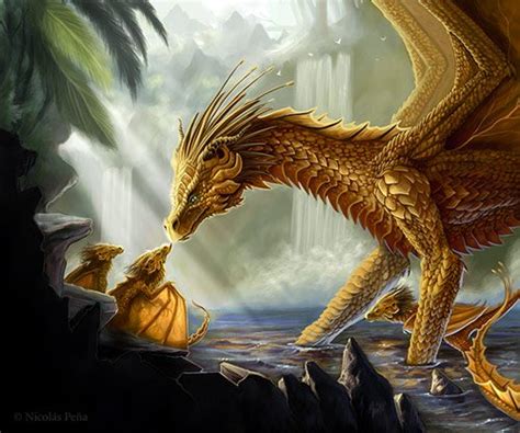 gold dragon rdragons