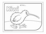 Waitangi Colouring Zealand Kiwi Bird Kids Activities Children Pages Coloring Maori Print Symbol Fun Kiwiana National Template Shower Baby Visit sketch template