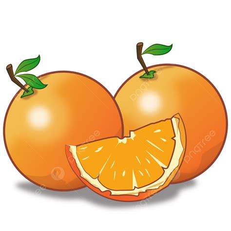jeruk naranja vector png jeruk naranja fruta png  vector  descargar gratis pngtree