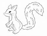 Coloring Fluffy Squirrel Pages sketch template