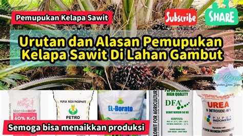 Pemupukan Kelapa Sawit Urutan Detail Pemupukan Kelapa Sawit Di Lahan