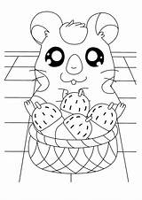 Hamtaro Coloring Pages Picgifs Cute Printable sketch template