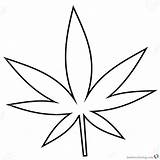 Leaf Marijuana Coloring Pages Template Weed Cannabis Templates Line sketch template