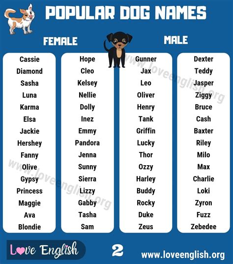 dog names   popular male  female dog names love english