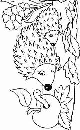 Coloring Pages Hedgehogs Hedgehog Kids Print Animals Fun Reginald Taylor Fall Egels Coloringkids sketch template