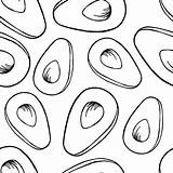 Avocado Aguacate Colorear Illustrations Wonder sketch template