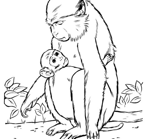 mommy  baby animals coloring pages httpsbsaffunktaking