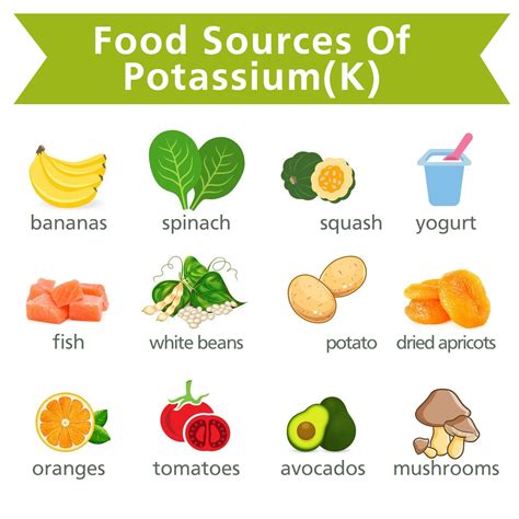 foods high in potassium and vitamin k definitionus